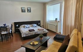 Sunny Studio Apartment - Few Steps From Gondola