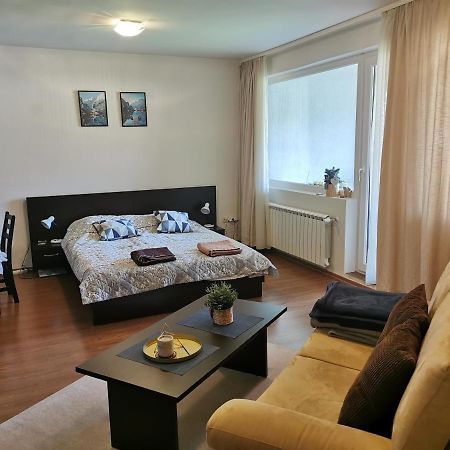 Sunny Studio Apartment - Few Steps From Gondola Банско Екстериор снимка