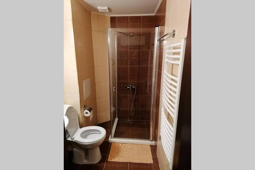 Sunny Studio Apartment - Few Steps From Gondola Банско Екстериор снимка