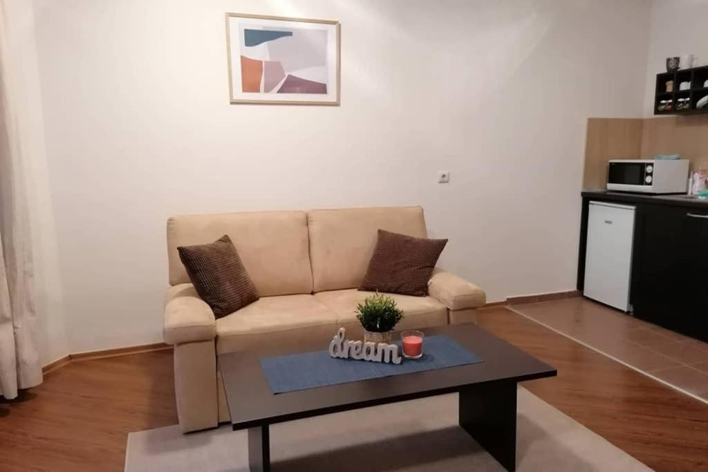 Sunny Studio Apartment - Few Steps From Gondola Банско Екстериор снимка