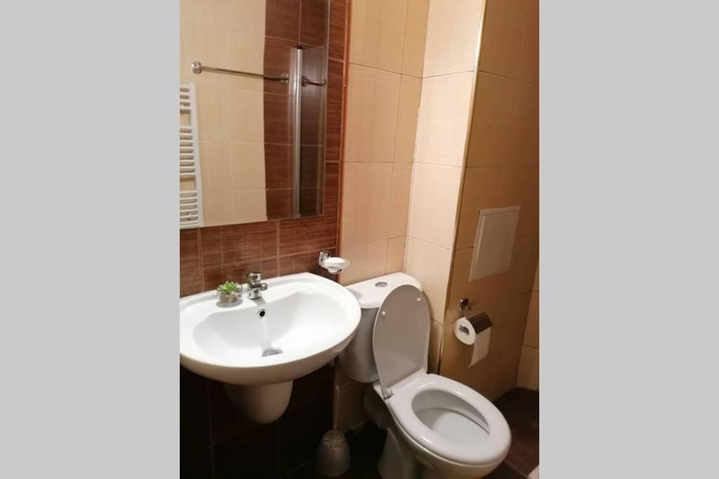 Sunny Studio Apartment - Few Steps From Gondola Банско Екстериор снимка