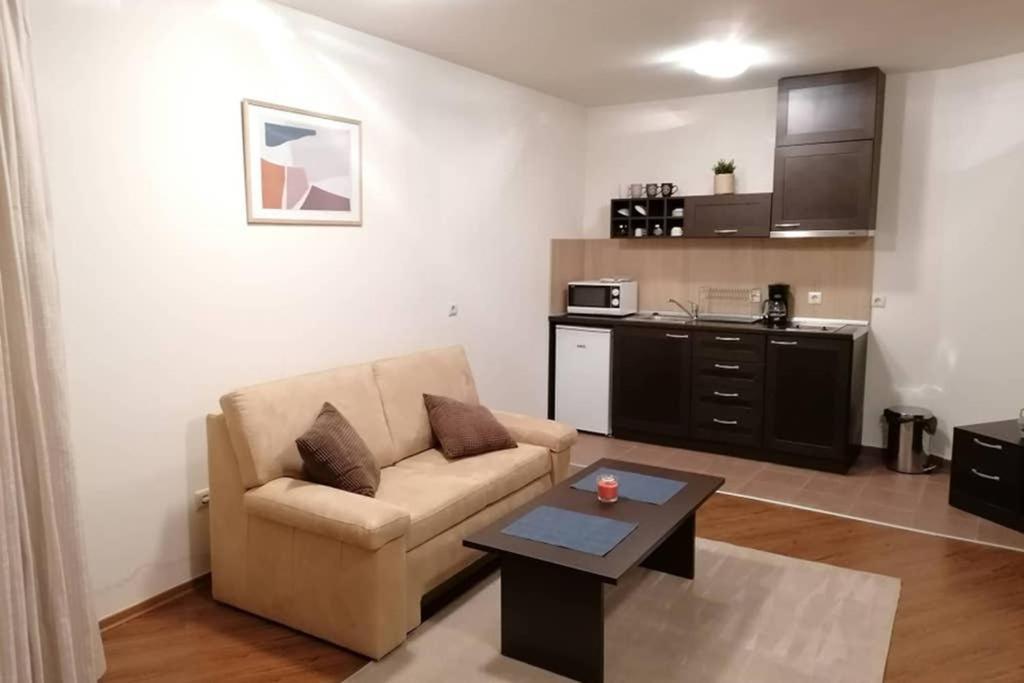 Sunny Studio Apartment - Few Steps From Gondola Банско Екстериор снимка