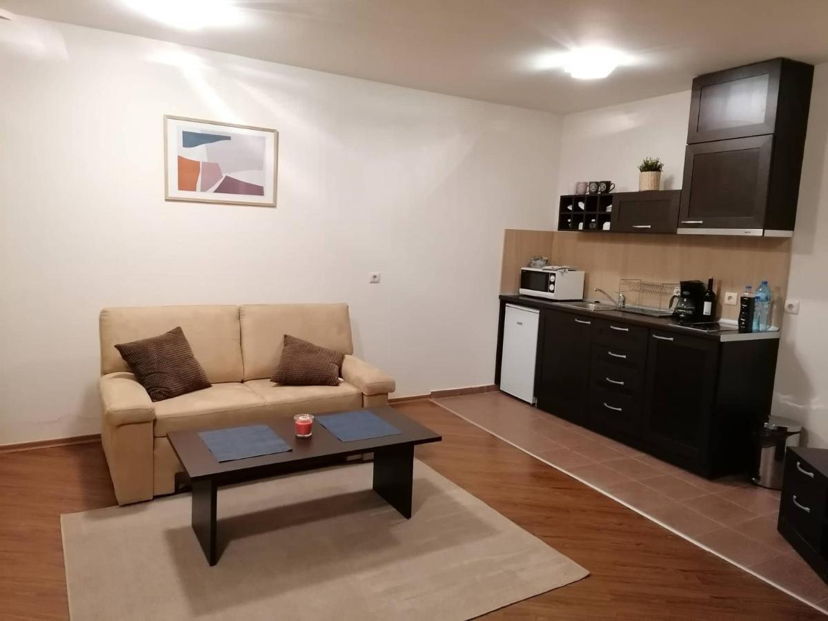 Sunny Studio Apartment - Few Steps From Gondola Банско Екстериор снимка