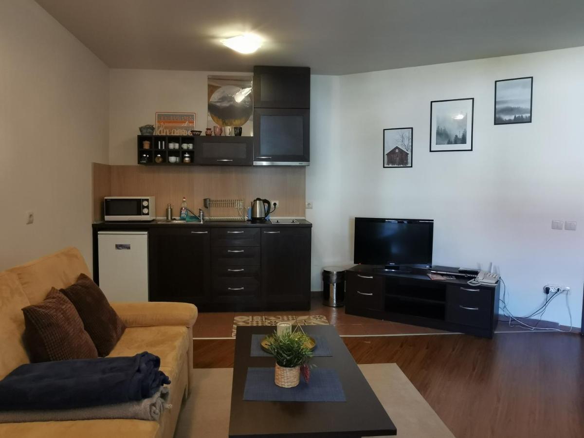 Sunny Studio Apartment - Few Steps From Gondola Банско Екстериор снимка