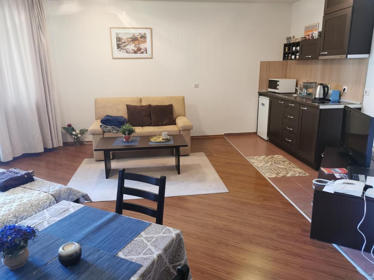 Sunny Studio Apartment - Few Steps From Gondola Банско Екстериор снимка