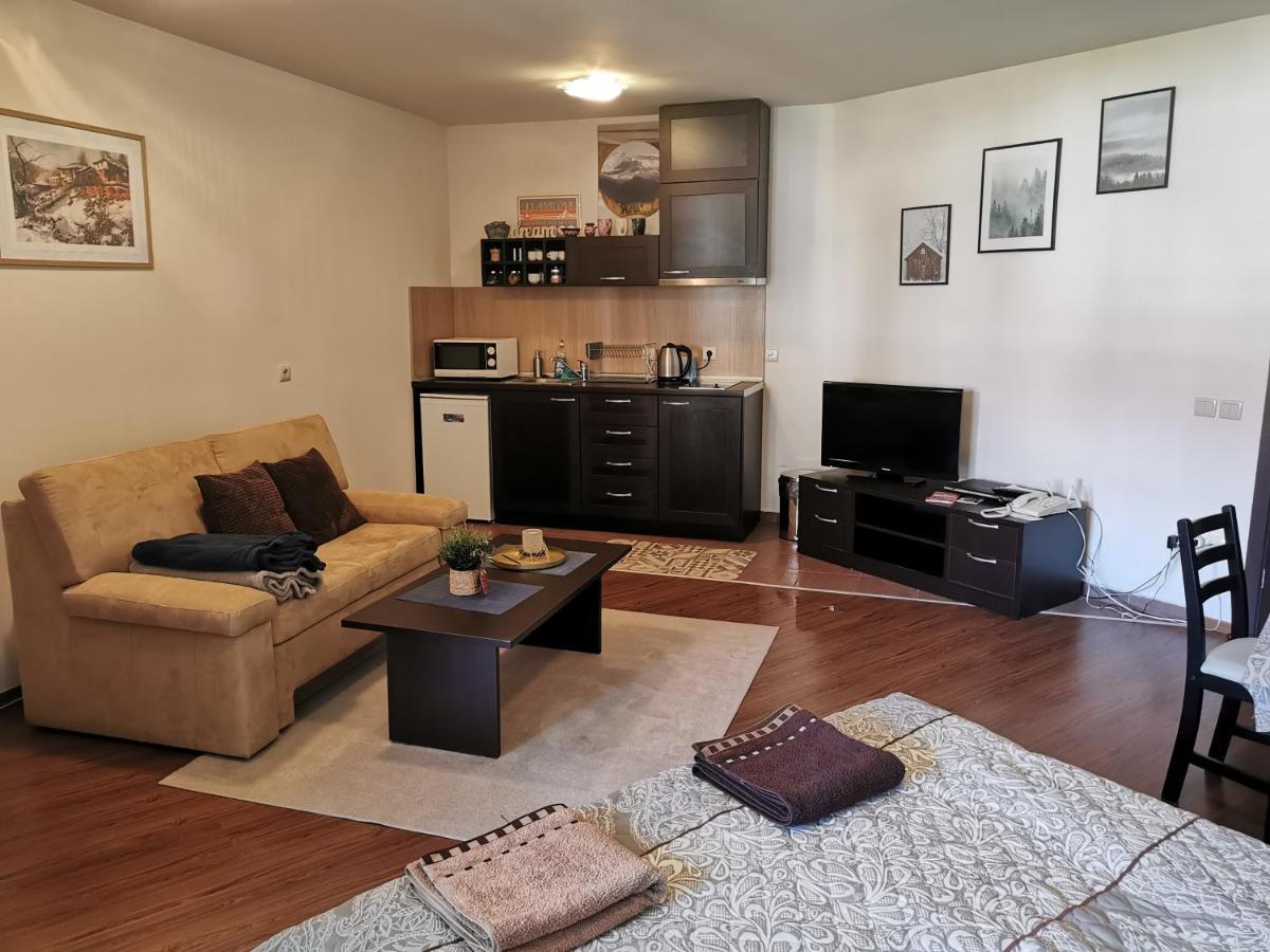 Sunny Studio Apartment - Few Steps From Gondola Банско Екстериор снимка